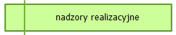 nadzory realizacyjne